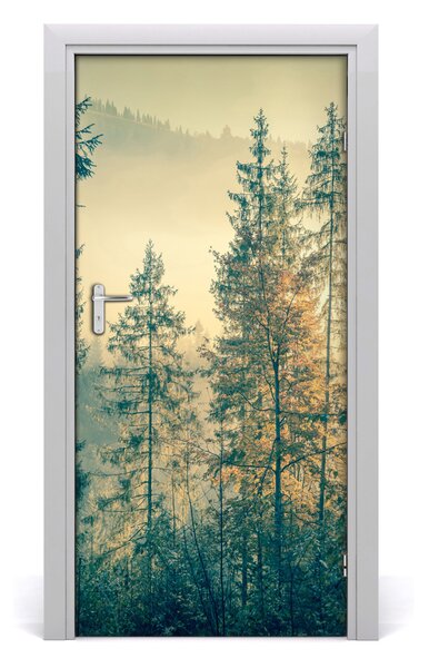 Naklejka fototapeta na drzwi Mgła nad lasem