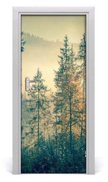 Naklejka fototapeta na drzwi Mgła nad lasem
