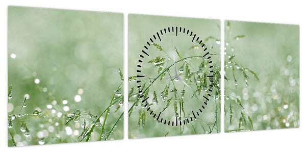 Obraz - Poranna rosa na źdźbłach trawy (z zegarem) (90x30 cm)