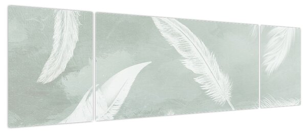 Obraz - Białe pióra (170x50 cm)