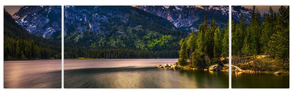 Obraz - Park Narodowy Grand Teton (170x50 cm)