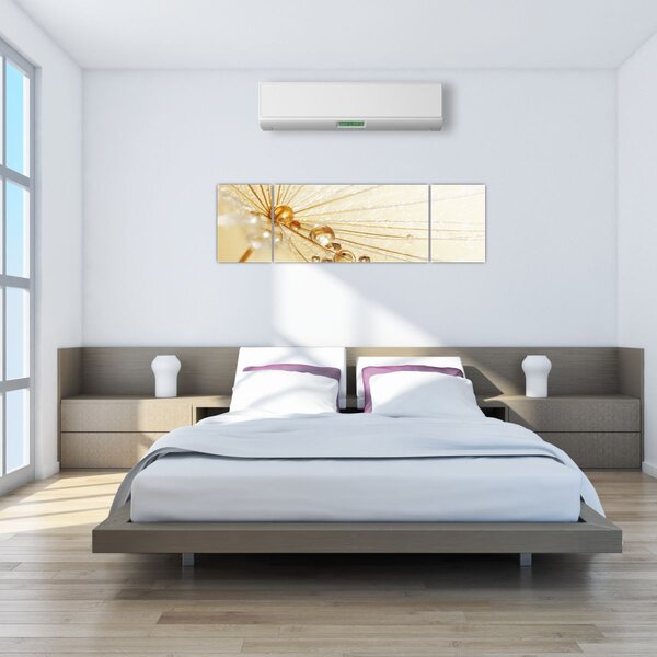 Obraz - Zdjęcie makro mniszka lekarskiego (170x50 cm)
