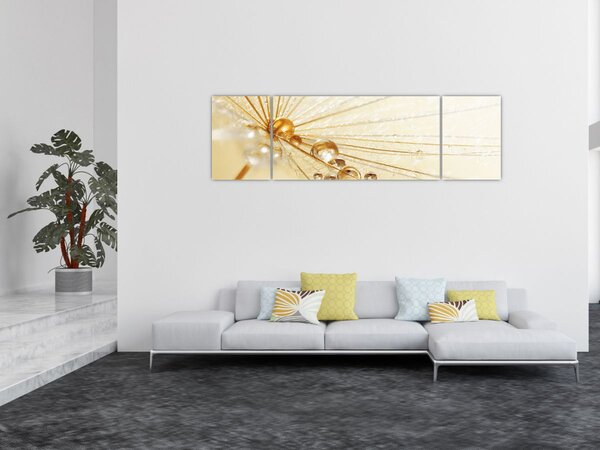Obraz - Zdjęcie makro mniszka lekarskiego (170x50 cm)