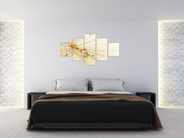 Obraz - Zdjęcie makro mniszka lekarskiego (125x70 cm)