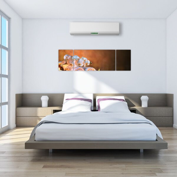 Obraz - Relaks i spa (170x50 cm)