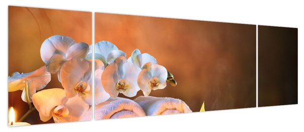 Obraz - Relaks i spa (170x50 cm)