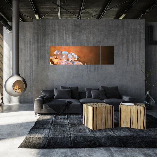 Obraz - Relaks i spa (170x50 cm)