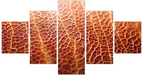 Obraz - Szczegóły tekstury (125x70 cm)
