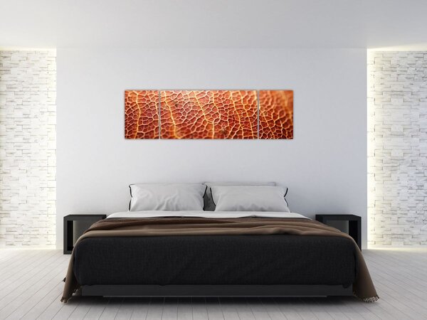 Obraz - Szczegóły tekstury (170x50 cm)