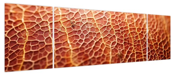 Obraz - Szczegóły tekstury (170x50 cm)