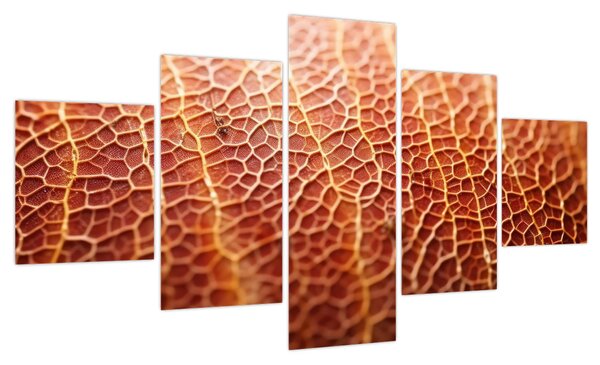 Obraz - Szczegóły tekstury (125x70 cm)