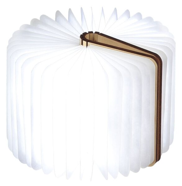 Dekoracja świetlna na USB w naturalnym kolorze Booklight – Gingko