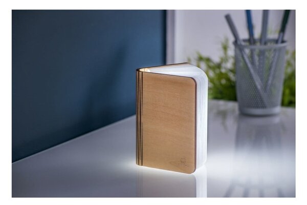 Dekoracja świetlna na USB w naturalnym kolorze Booklight – Gingko