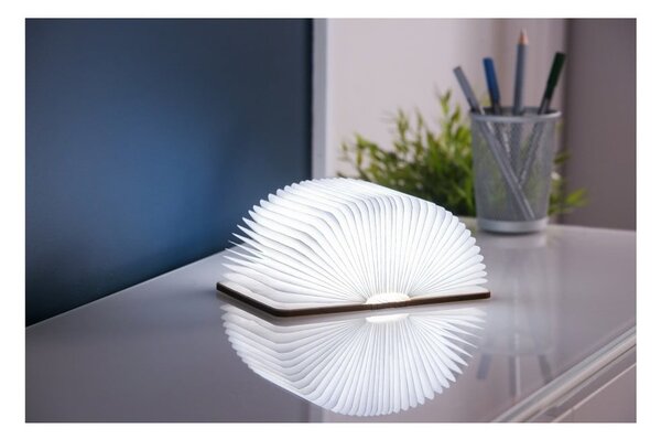 Dekoracja świetlna na USB w naturalnym kolorze Booklight – Gingko