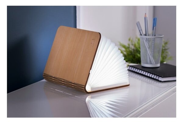 Dekoracja świetlna na USB w naturalnym kolorze Booklight – Gingko