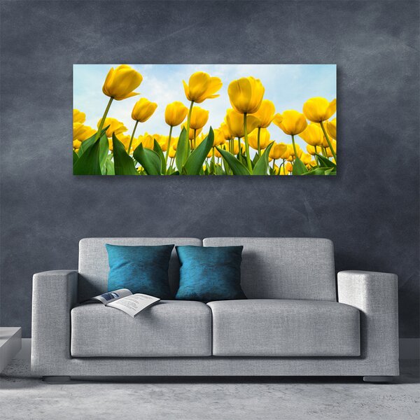 Obraz canvas Pole Tęczowych Tulipanów