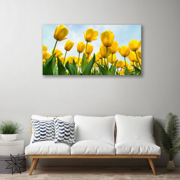 Obraz canvas Pole Tęczowych Tulipanów