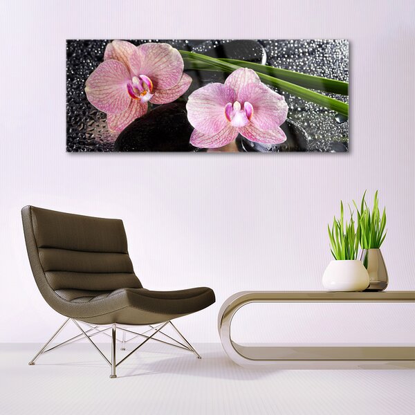 Obraz Szklany Kwiaty Orchidea Storczyk Zen