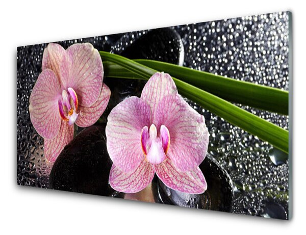 Obraz Szklany Kwiaty Orchidea Storczyk Zen