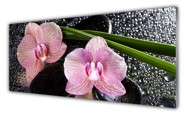 Obraz Szklany Kwiaty Orchidea Storczyk Zen