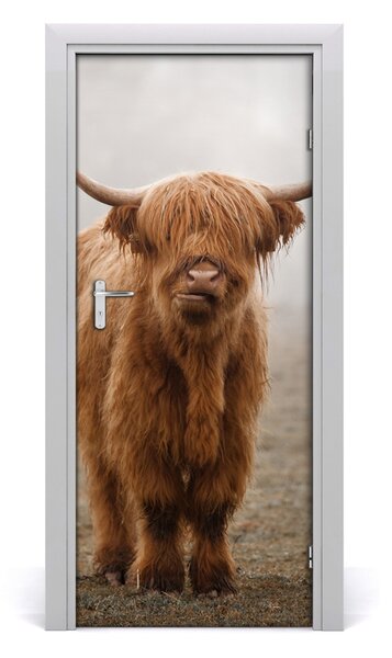 Fototapeta samoprzylepna na drzwi Krowy Wzgórza