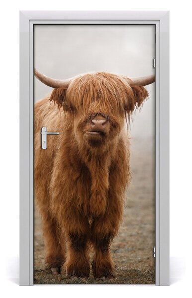 Fototapeta samoprzylepna na drzwi Krowy Wzgórza