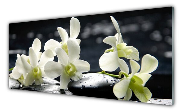 Obraz Szklany Kwiat Orchidea Roślina