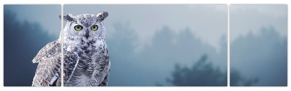 Obraz - Sowa śnieżna (170x50 cm)