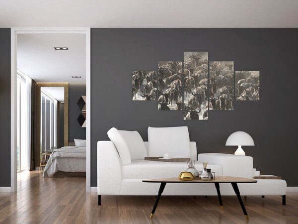 Obraz - Stado antylop gnu (125x70 cm)
