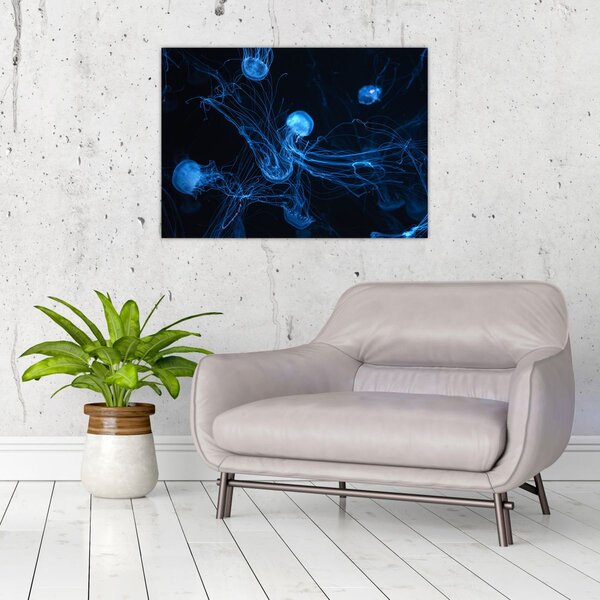 Obraz - Meduza (70x50 cm)