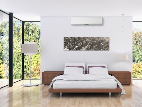 Obraz - Stado antylop gnu (170x50 cm)