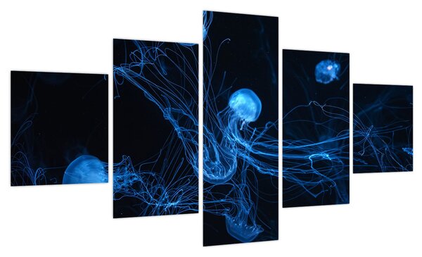 Obraz - Meduza (125x70 cm)