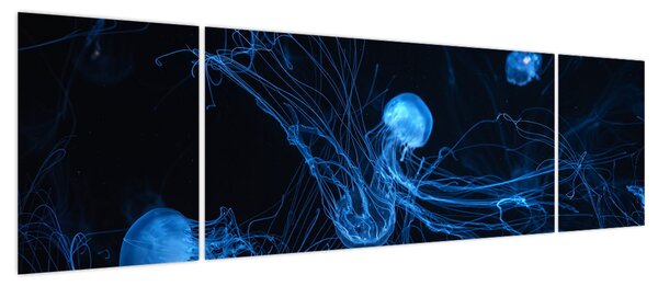Obraz - Meduza (170x50 cm)