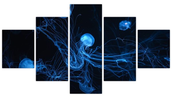 Obraz - Meduza (125x70 cm)