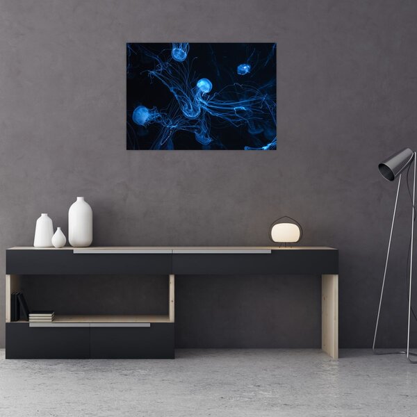 Obraz - Meduza (70x50 cm)