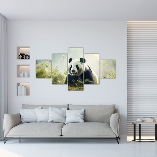 Obraz - Panda (125x70 cm)