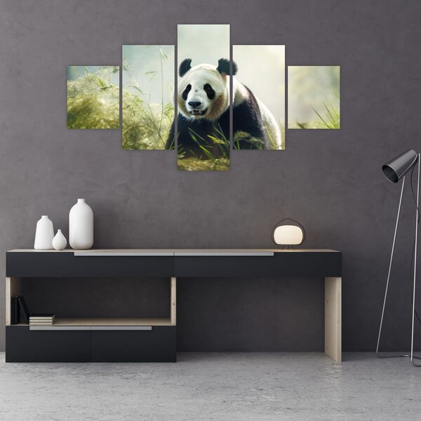 Obraz - Panda (125x70 cm)