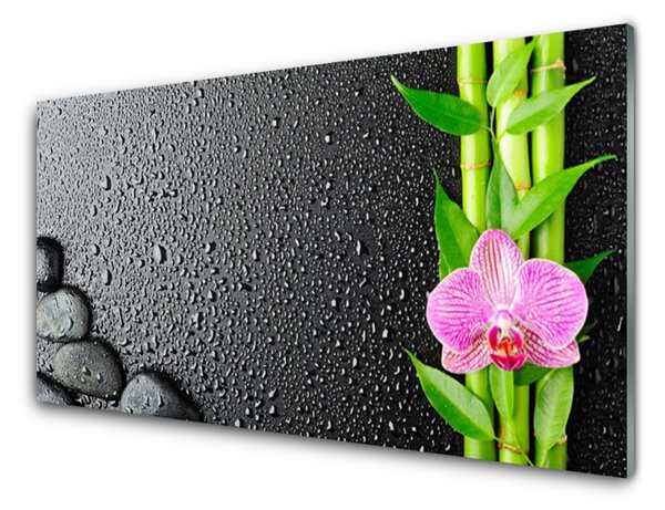 Obraz Szklany Bambus Łodyga Kwiat Roślina