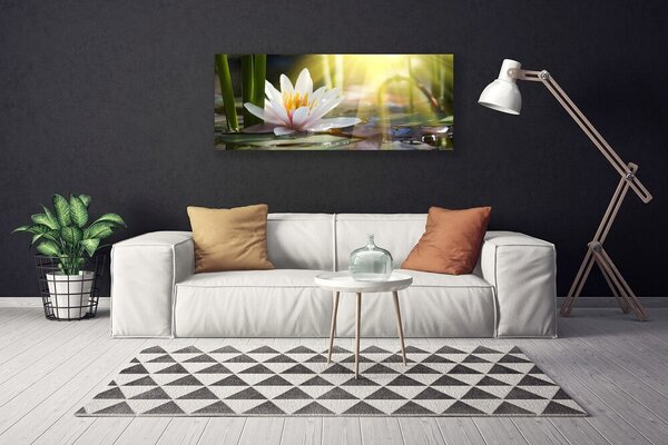 Obraz canvas Struktura Gładkich Kamyczków