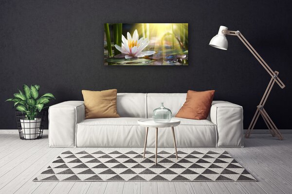 Obraz canvas Struktura Gładkich Kamyczków