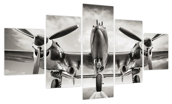 Obraz - Warbird (125x70 cm)