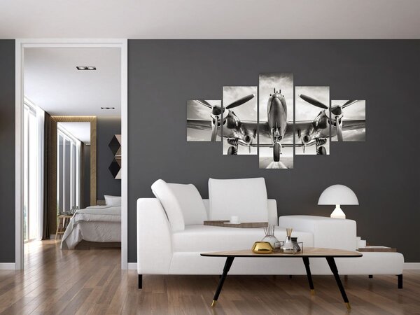 Obraz - Warbird (125x70 cm)