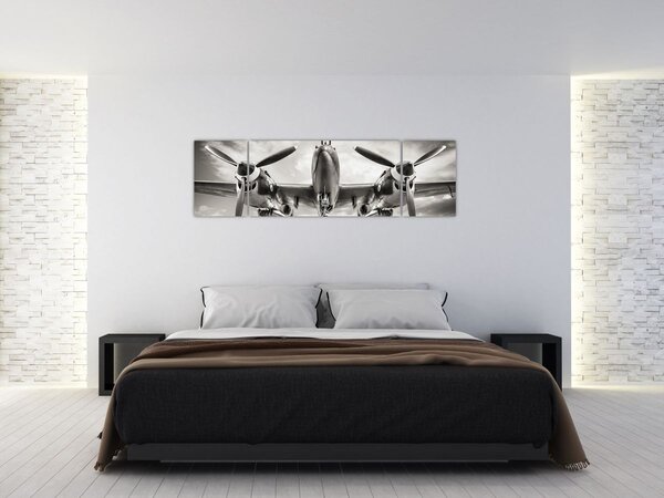 Obraz - Warbird (170x50 cm)