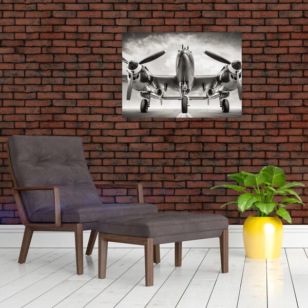 Obraz - Warbird (70x50 cm)