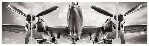 Obraz - Warbird (170x50 cm)