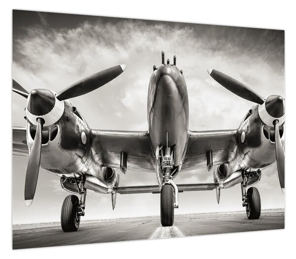 Obraz - Warbird (70x50 cm)