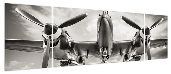 Obraz - Warbird (170x50 cm)