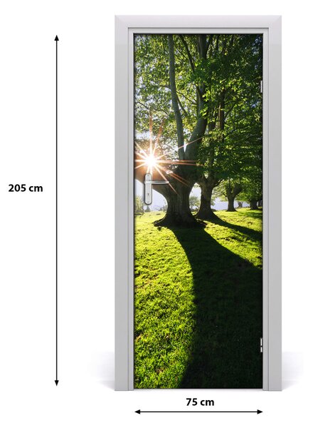 Naklejka fototapeta na drzwi Krajobrazy Park