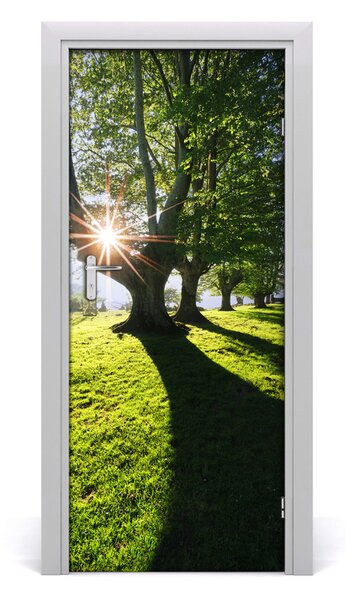 Naklejka fototapeta na drzwi Krajobrazy Park