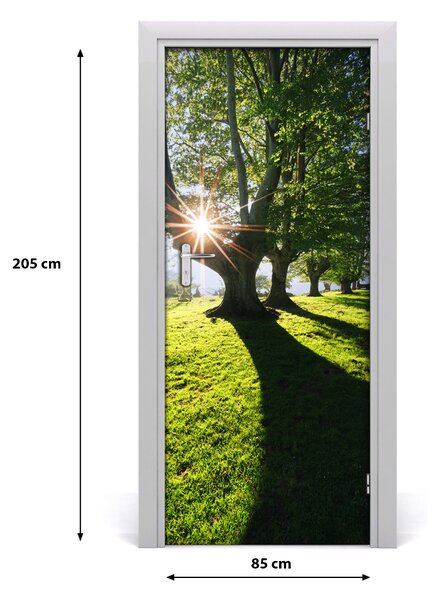 Naklejka fototapeta na drzwi Krajobrazy Park